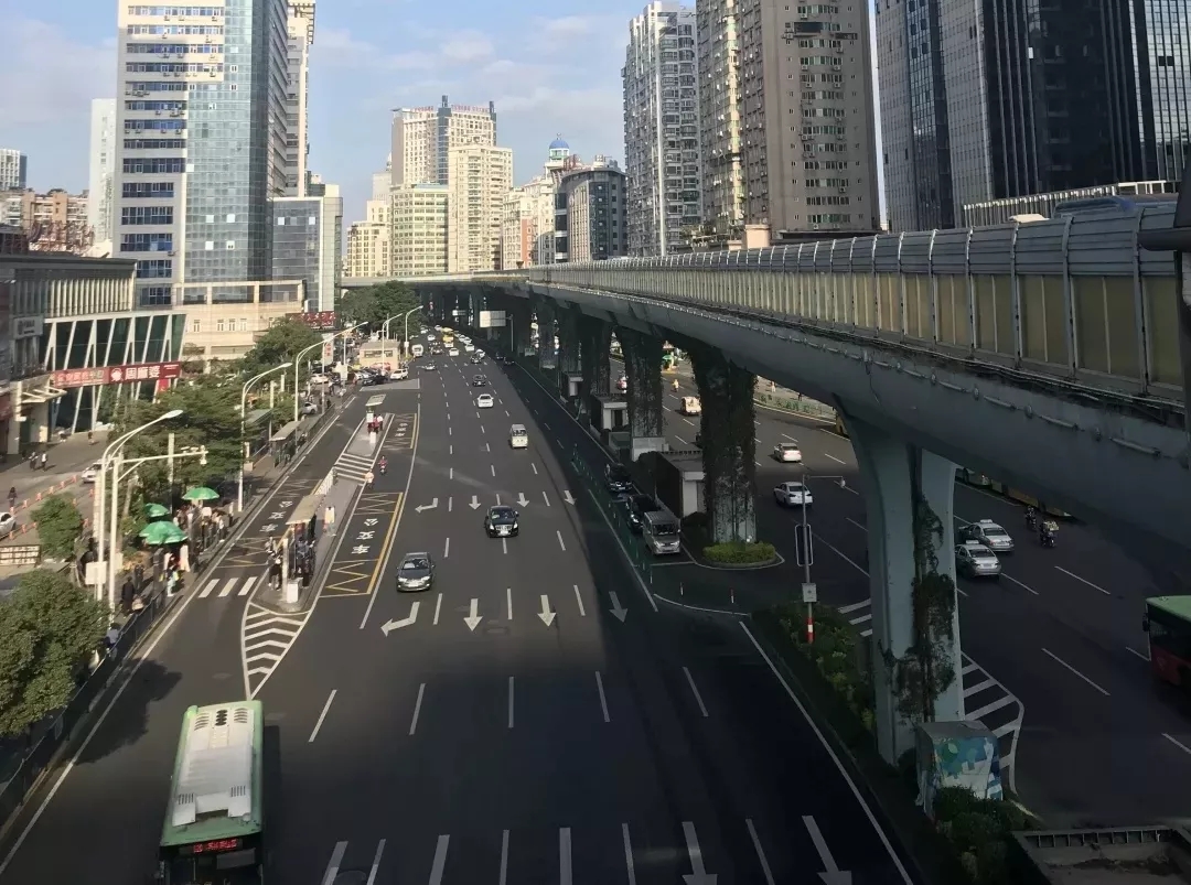 改革开放40年,厦门市政园林行业变化有多大?数据,照片